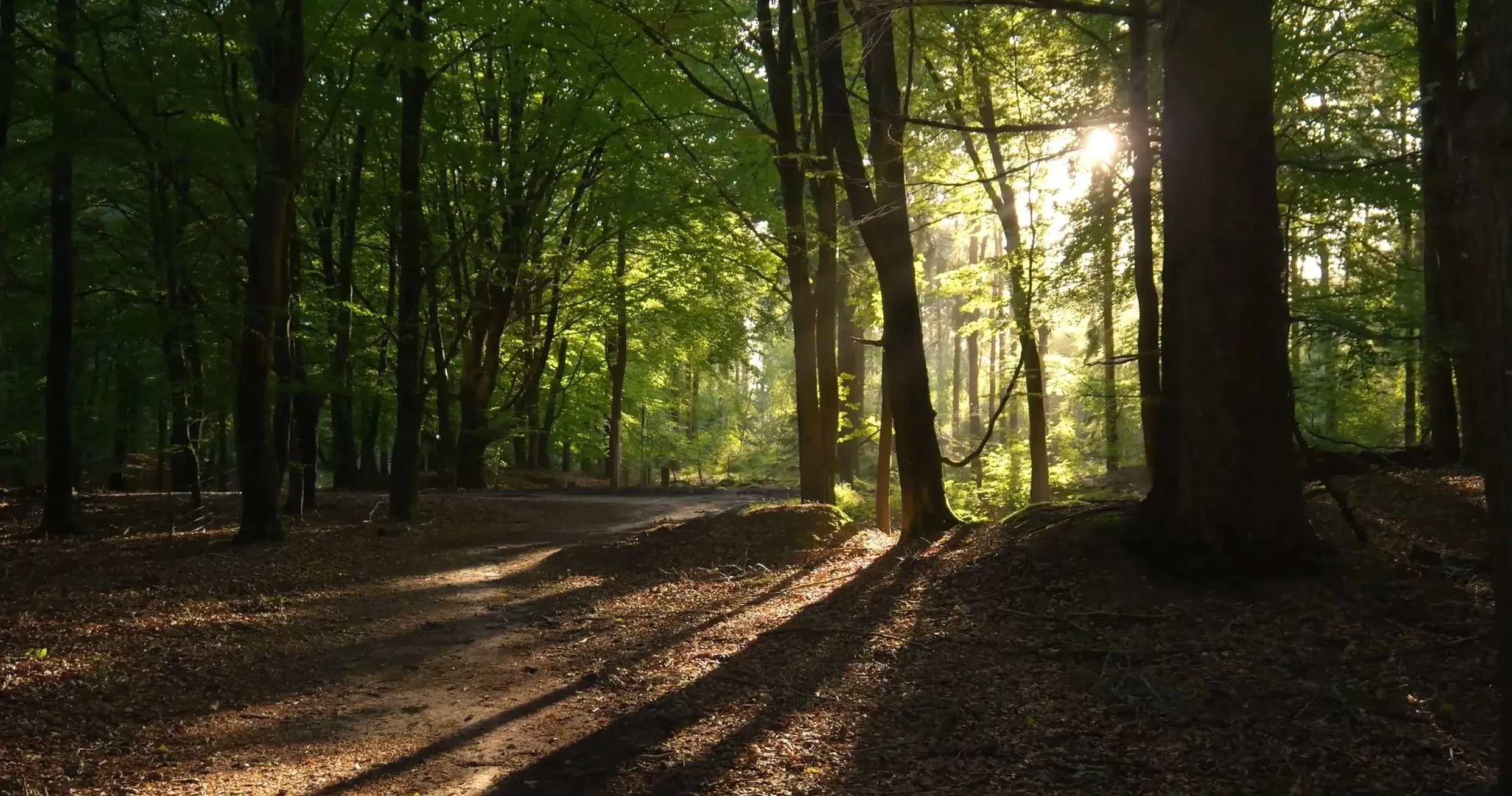 What Leaders Must Rethink Today